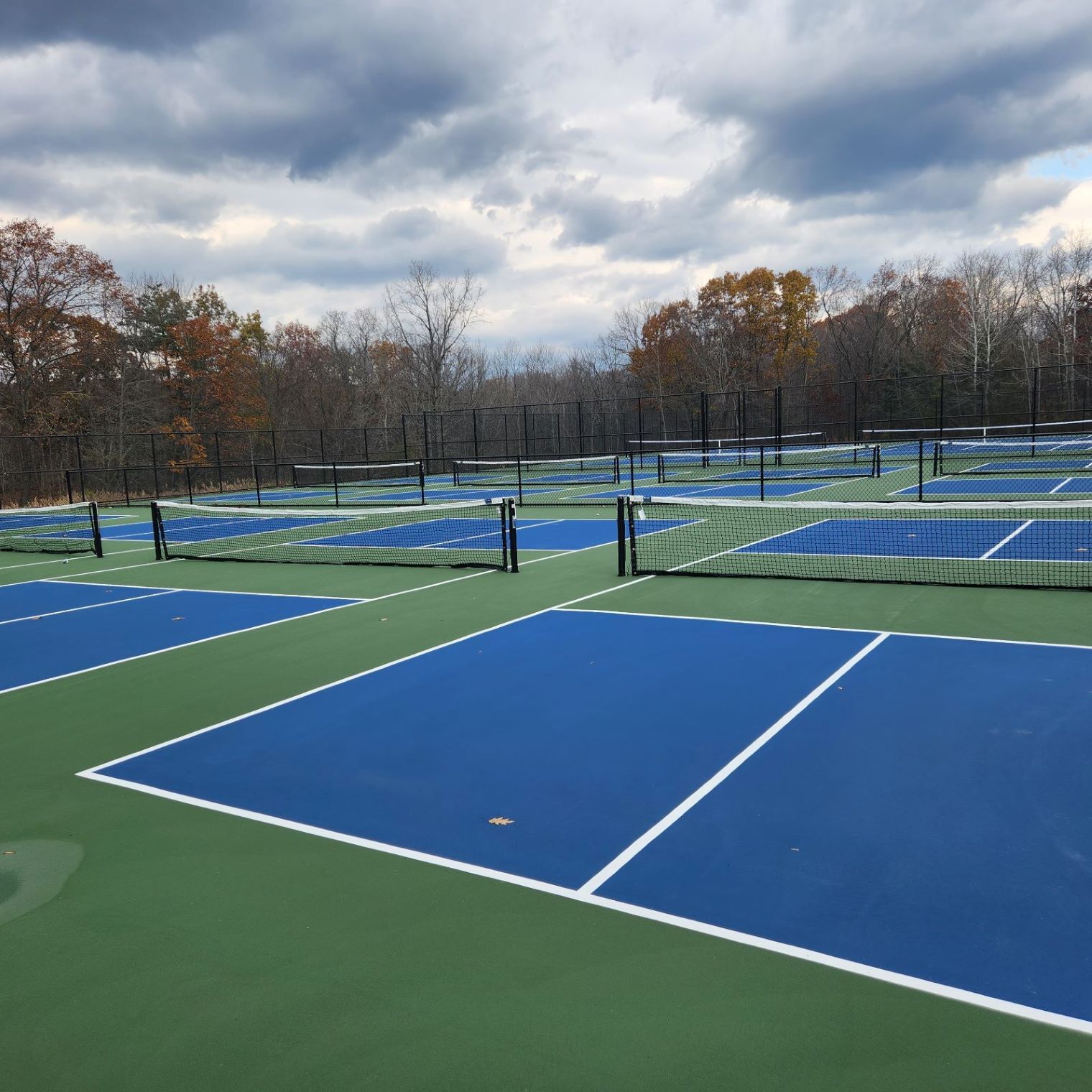 West Albany Pickleball Court 1